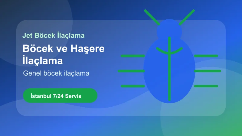 İstanbul böcek ve haşere ilaçlama hizmeti için profesyonel uygulama İstanbul böcek ve haşere ilaçlama hizmeti için profesyonel uygulama görseli