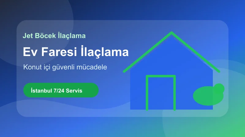 İstanbul ev faresi ilaçlama hizmetinde güvenli tuzaklama uygulaması İstanbul ev faresi ilaçlama hizmetinde güvenli tuzaklama uygulaması görseli