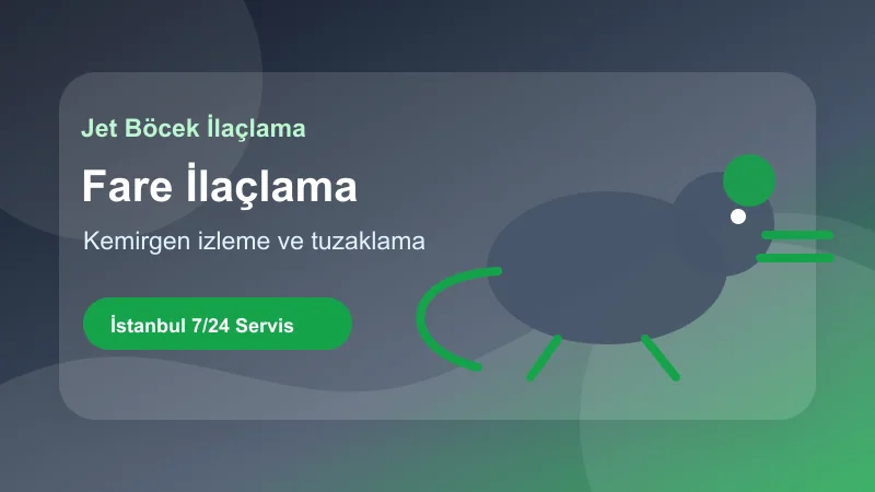 İstanbul fare ilaçlama hizmetinde güvenli kemirgen mücadele uygulaması İstanbul fare ilaçlama hizmetinde güvenli kemirgen mücadele uygulaması görseli