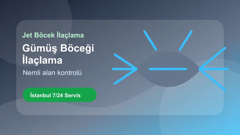 İstanbul gümüş böceği ilaçlama hizmetinde nemli alan kontrolü İstanbul gümüş böceği ilaçlama hizmetinde nemli alan kontrolü görseli