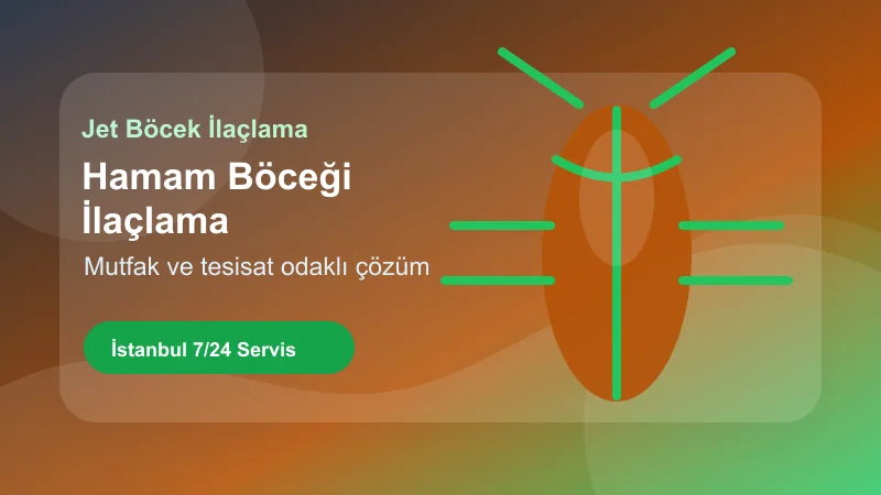 İstanbul hamam böceği ilaçlama hizmetinde mutfak ve tesisat odaklı uygulama İstanbul hamam böceği ilaçlama hizmetinde mutfak ve tesisat odaklı uygulama görseli
