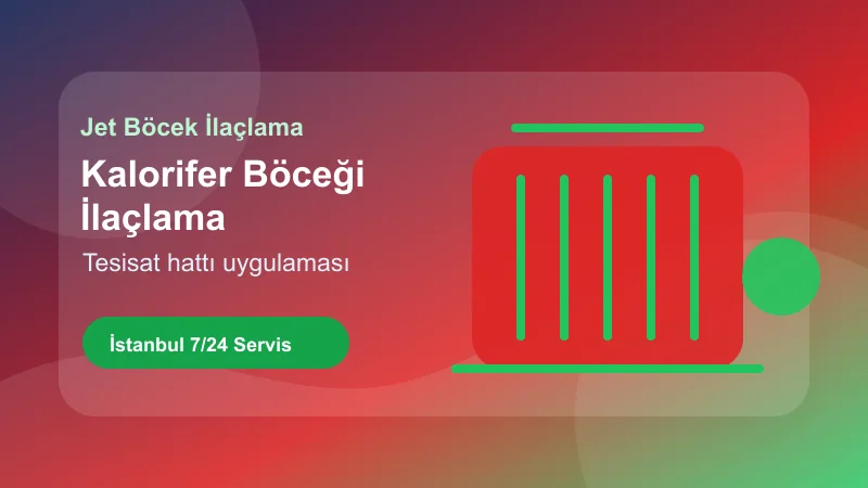 İstanbul kalorifer böceği ilaçlama hizmetinde tesisat hattı kontrolü İstanbul kalorifer böceği ilaçlama hizmetinde tesisat hattı kontrolü görseli