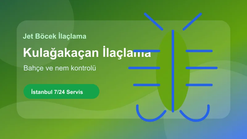 İstanbul kulağakaçan ilaçlama hizmetinde bahçe ve nem kontrolü İstanbul kulağakaçan ilaçlama hizmetinde bahçe ve nem kontrolü görseli