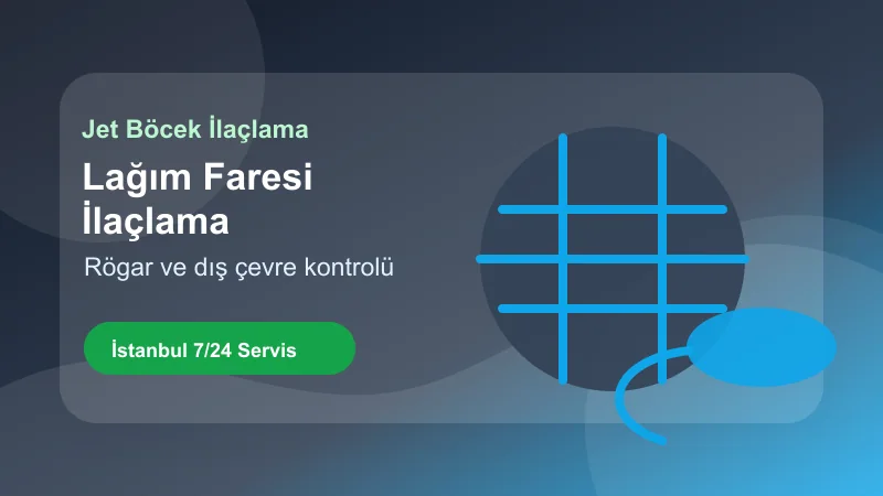 İstanbul lağım faresi ilaçlama hizmetinde rögar ve dış çevre kontrolü İstanbul lağım faresi ilaçlama hizmetinde rögar ve dış çevre kontrolü görseli