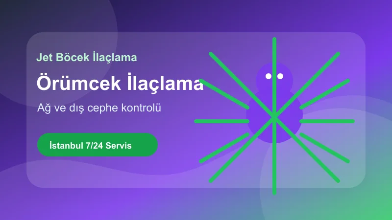 İstanbul örümcek ilaçlama hizmetinde ağ ve dış cephe kontrolü İstanbul örümcek ilaçlama hizmetinde ağ ve dış cephe kontrolü görseli